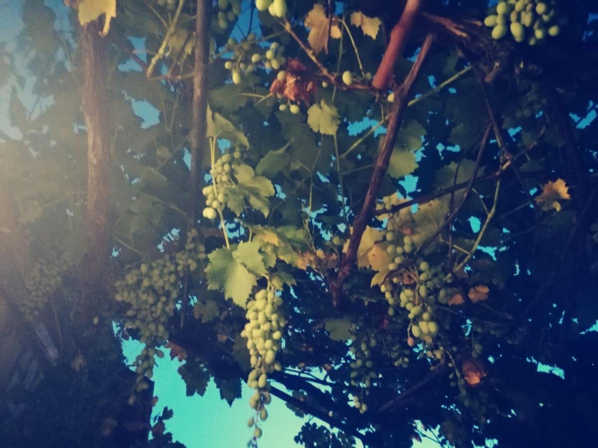 Casetta Nel Podere Di Massi Barberino di Mugello Εξωτερικό φωτογραφία
