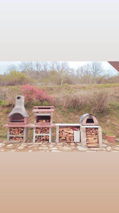 Casetta Nel Podere Di Massi Barberino di Mugello Εξωτερικό φωτογραφία