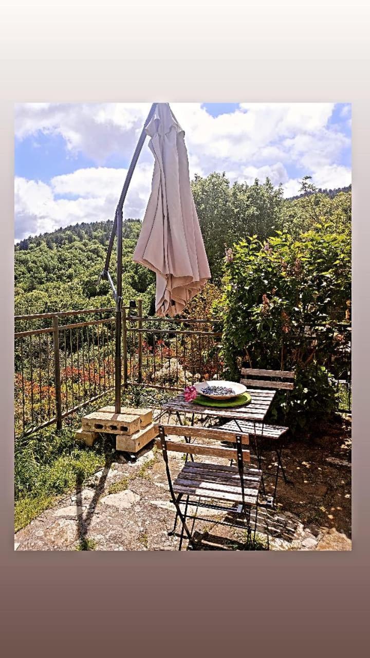Casetta Nel Podere Di Massi Barberino di Mugello Εξωτερικό φωτογραφία